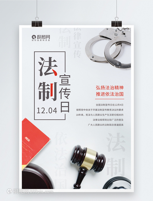 简约全国法制宣传日海报市场调研分析