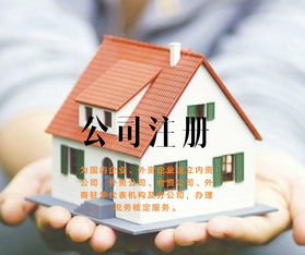 瓦房店优质法律咨询 惠友财务法律咨询的专业服务解析